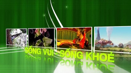 Đề xuất lập tổ công tác 24_24 để giảm ùn tắc cảng Cát Lái - Thành Phố Hôm Nay [HTV9 – 08.08.2016]