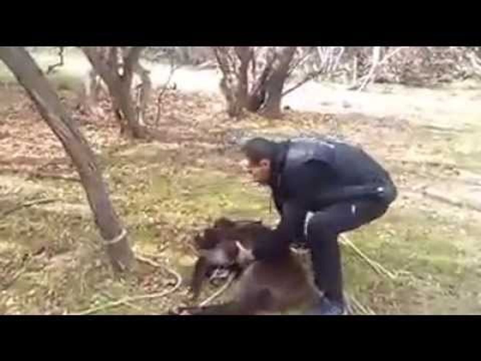 سبب الزلازل هاته الأيام في الجزائر