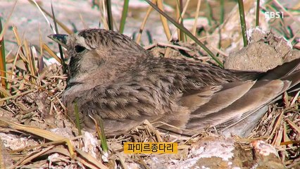 다큐 프라임.160808