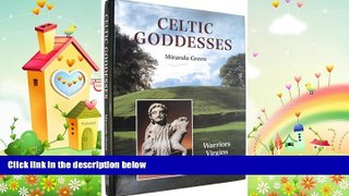 there is  Celtic Goddesses: Warriors, Virgins and Mothers