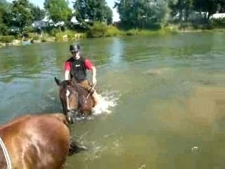 Cotcot va nager avec son cheval !