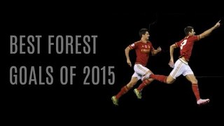 Best Nottingham Forest Goals Of 2015