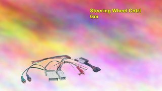 Steering Wheel Cntrl Gm