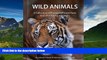READ FREE FULL  Wild Animals - Alzheimer s / Dementia / Memory Loss Activity Book for Patients