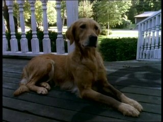 Chair de Poule - Mon meilleur ami est invisible