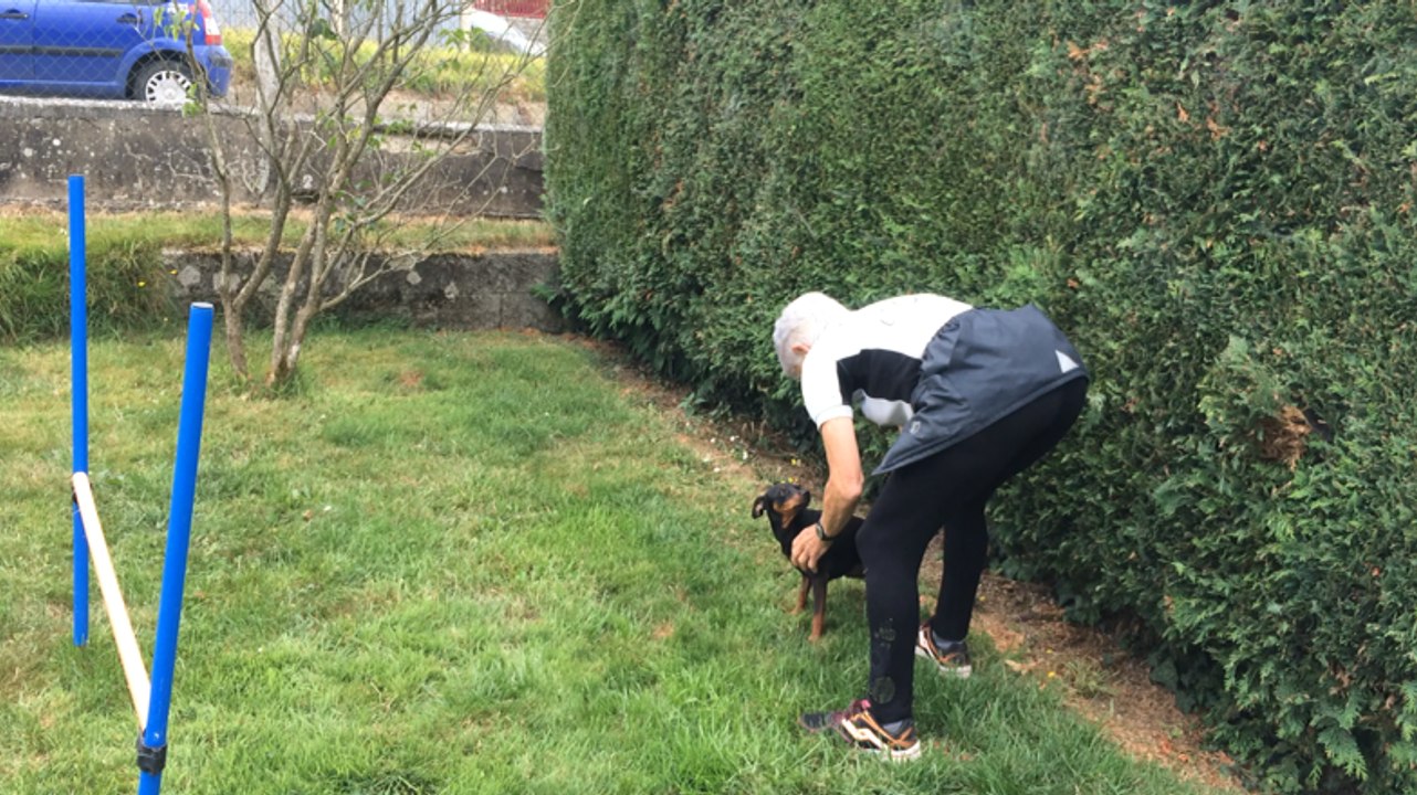 À la découverte de l'agility avec Suzy et son P...