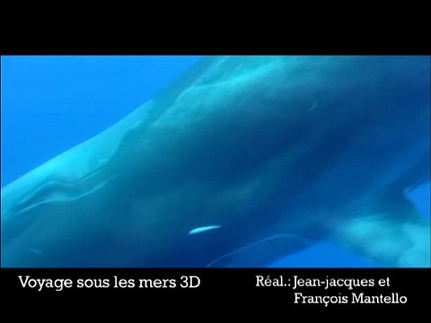 Voyage sous les mers 3D VF - Ext 3