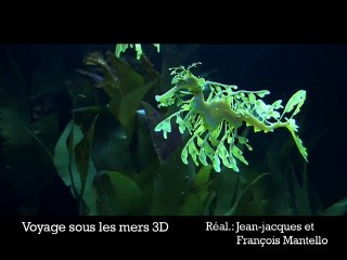 Voyage sous les mers 3D VF - Ext 4