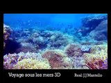 Voyage sous les mers 3 D