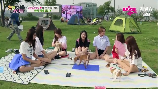 [ENG SUB] The Man Who Feed The Dogs E34 IOI Cuts