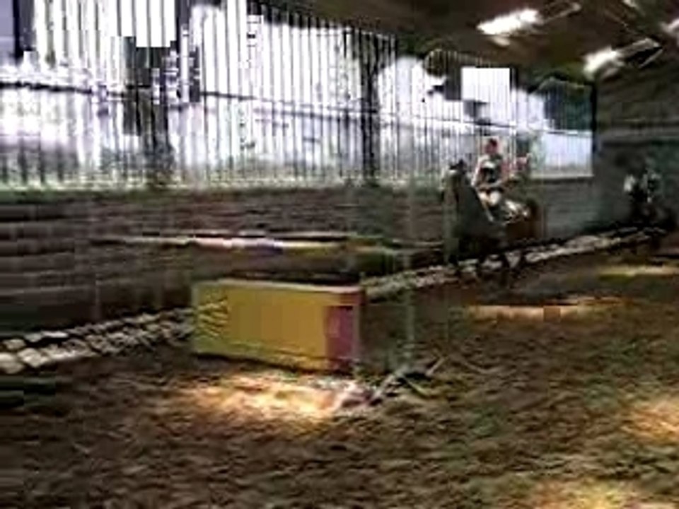 MVI_3135