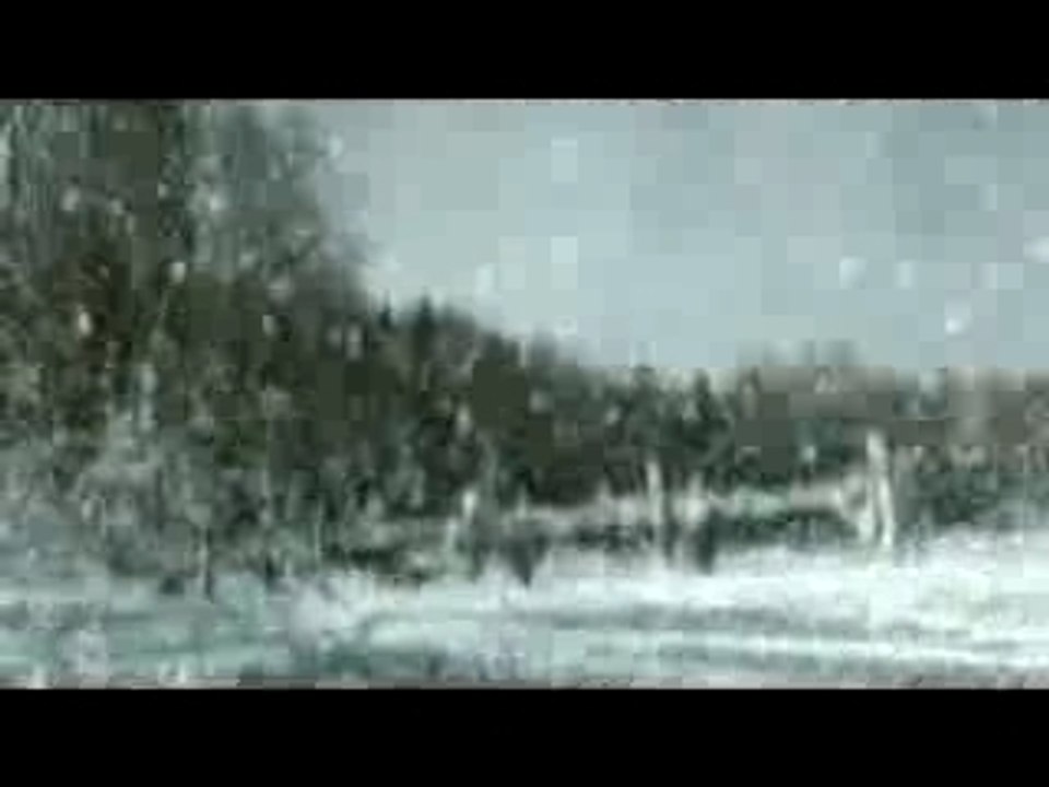 Citroen C4 on ice