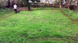 Lawn Mowing in Northern Beaches - Mona Vale - Test Drive Honda HRU 196