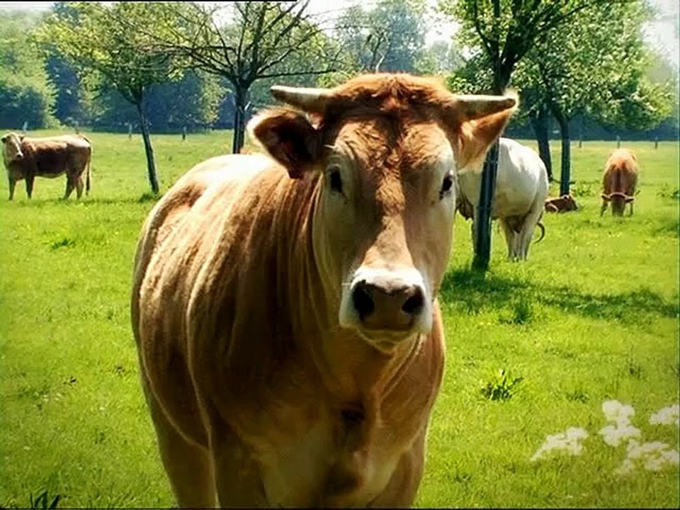 Cette "mouche bizarre" m'a fait un peu penser à quelqu'un ... #merdejesuisunemouchebizarre