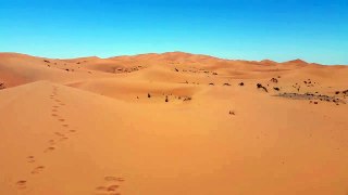 Disc Golf in the Sahara