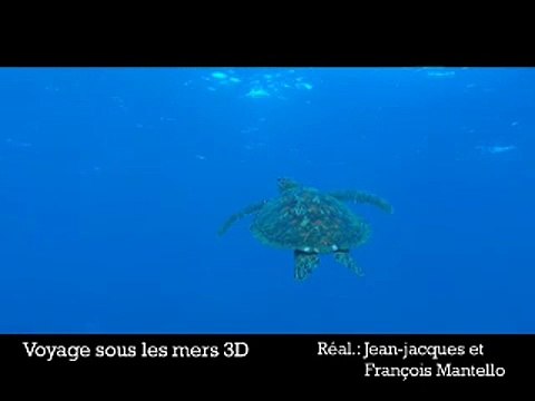 Voyage sous les mers 3D VF - Ext 2