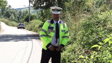 Mircea bravo - beat in trafic