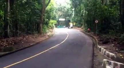 ACCIDENTE CICLISMO femenino JUEGOS OLÍMPICOS HOLANDA (IMÁGENES FUERTES)