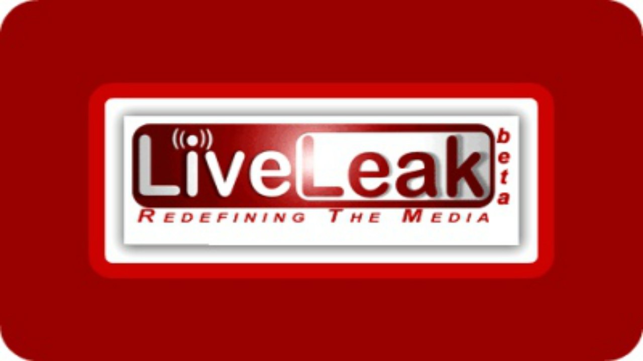 Trump's Scottie Nell Hughes Ban abortions for women with Zika