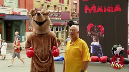 Angry Fighting Kangaroo, Part 2 !