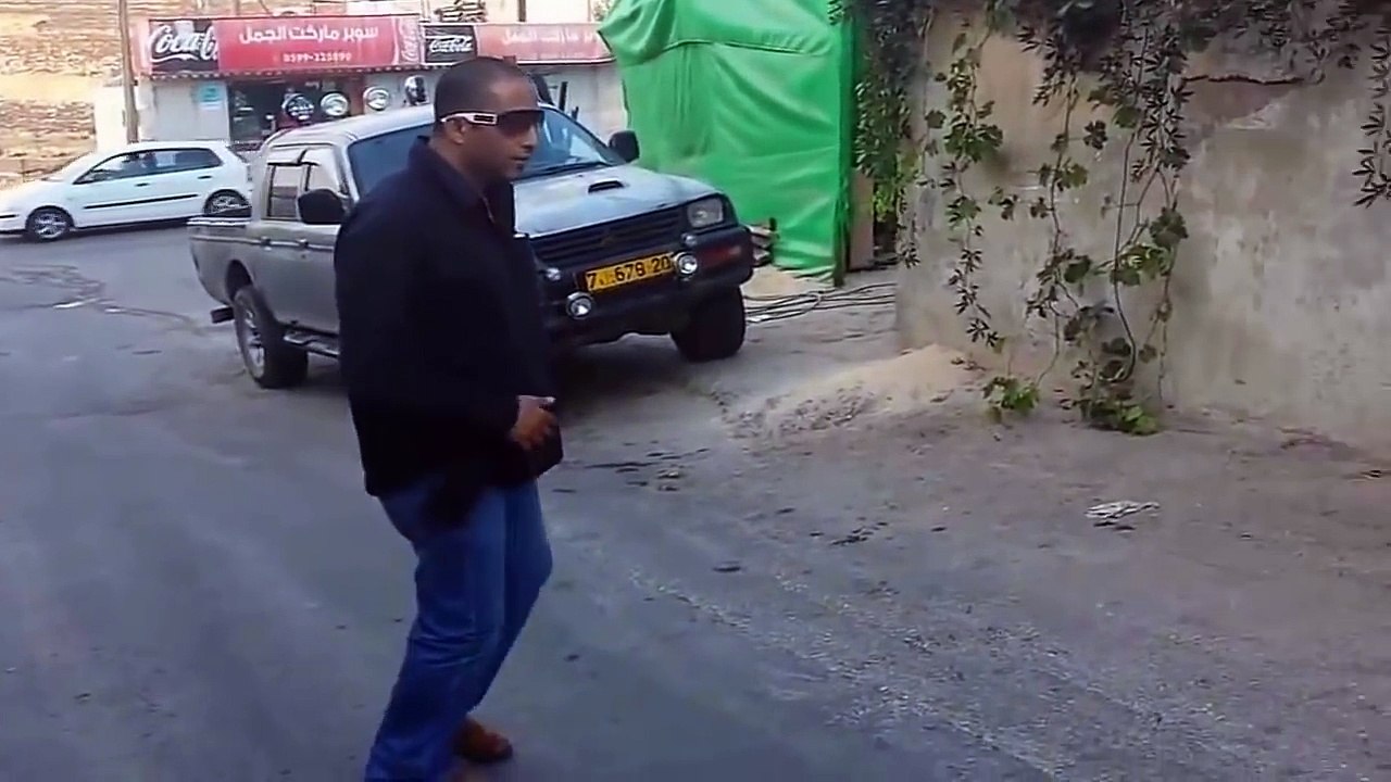 Dev Köpek ve Dev Piton Yılanın Karşılaşması