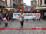 MANIFESTAZIONE PER LA LINGUA VENETA - VENEZIA 28/11/2009