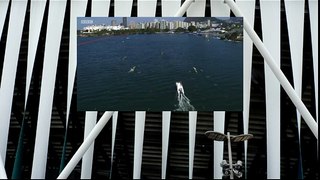 Serbia's men's pair capsize at Rio Olympics 2016