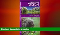 Free [PDF] Downlaod  Yosemite Wildlife: A Folding Pocket Guide to Familiar Species (Pocket