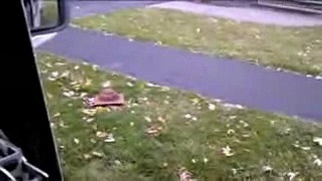 Un chat totalement possédé empêche un facteur de poster ses lettres