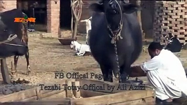 funny clips-funny pranks-funny fails-funny videos-Best Fails-top funny-funny videos 2016-Funny