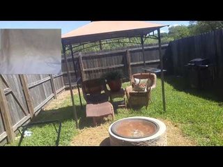 House tour! Door opening and noises