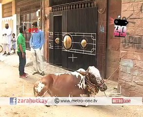 funny clips-funny pranks-funny fails-funny videos-Best Fails-top funny-funny videos 2016-Funny