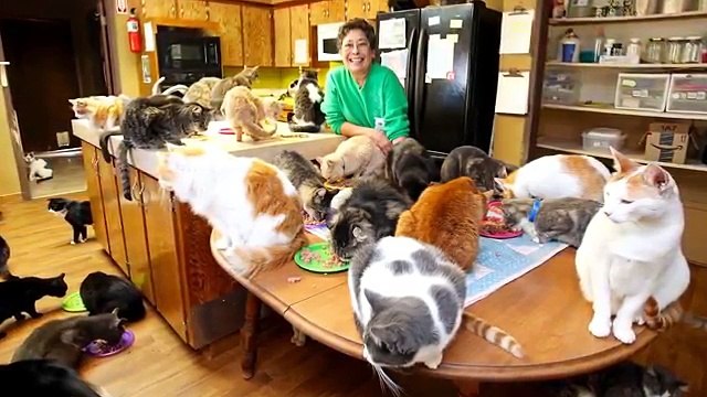 10-Most-Shocking-Real-Mutations-In-Animals