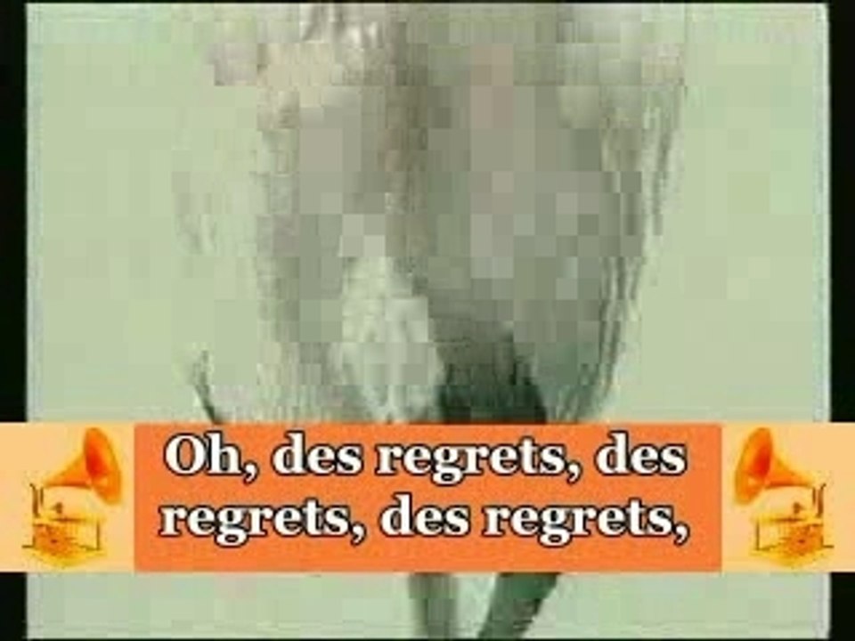 Alain Souchon  "Les Regrets" + sous-titres