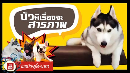 เชอบัว ยูโร มายา ตอนที่ 91  บัวมีเรื่องจะสารภาพ