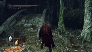 Dark Souls II: Scholar of the First Sin - Glitch in Huntsman's Copse