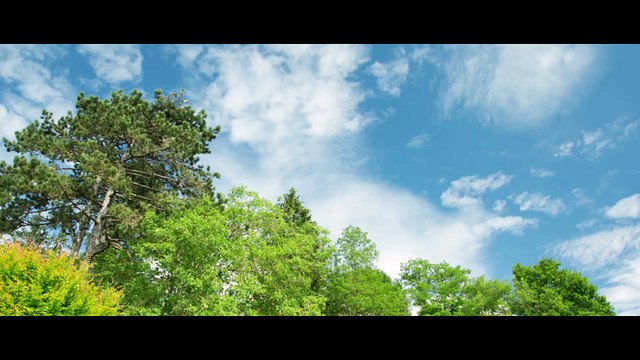 Effervescence jeunes CFDT 2016