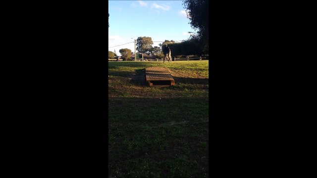 Une belle grosse gamelle en VTT