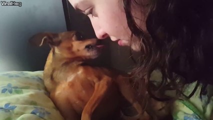 Ce chien change d'avis en 2 secondes :content puis pas content