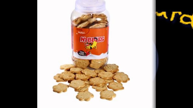 Dog Boarding San Marcos