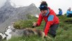 Des randonneurs deviennent amis avec des marmottes dans les Alpes Suisses