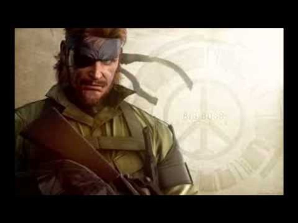 mgs pw wmv