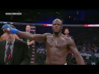 MMA fighter accidentally backfists official