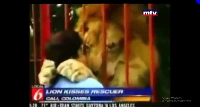 How Are Animals Better Than Humans