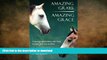 READ book  Amazing Grays, Amazing Grace: Pursuing relationship with God, horses, and one another