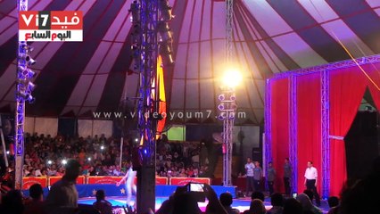 إقبال المصطافين على السيرك والعرض الروسى بمرسى مطروح