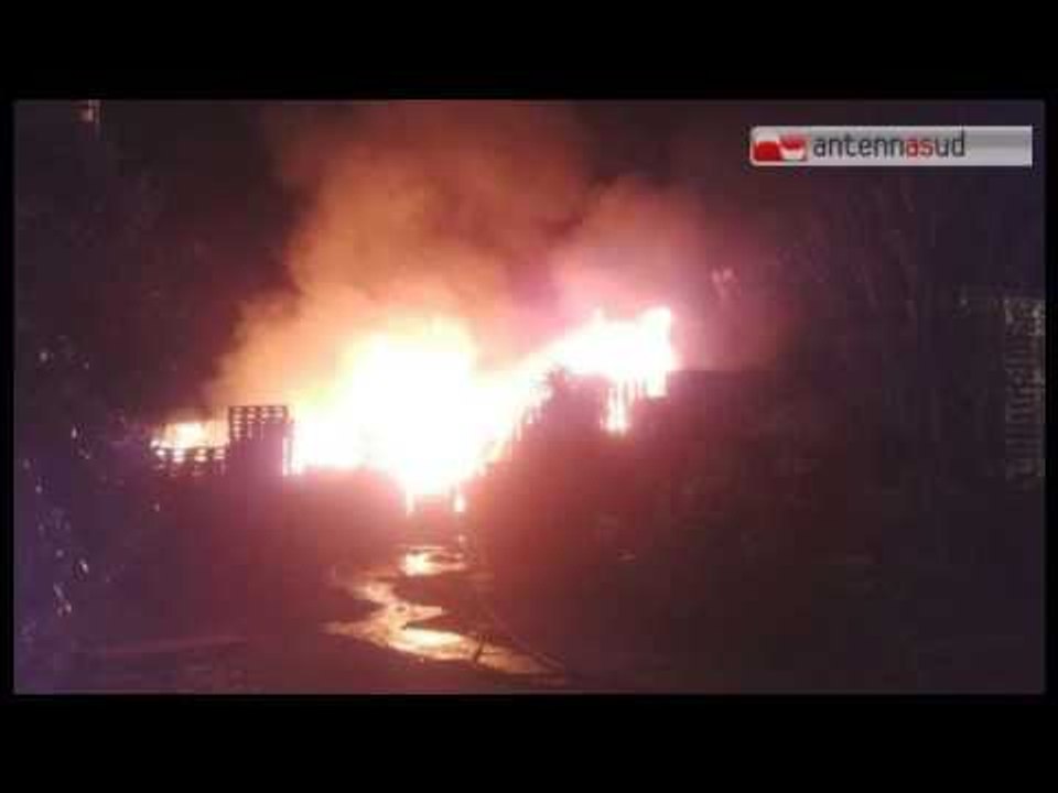 Tg Antenna Sud - Rogo a Fasano, incendio distrugge bus della Sud-Est