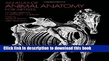 [Popular Books] An Atlas of Animal Anatomy for Artists Free Online