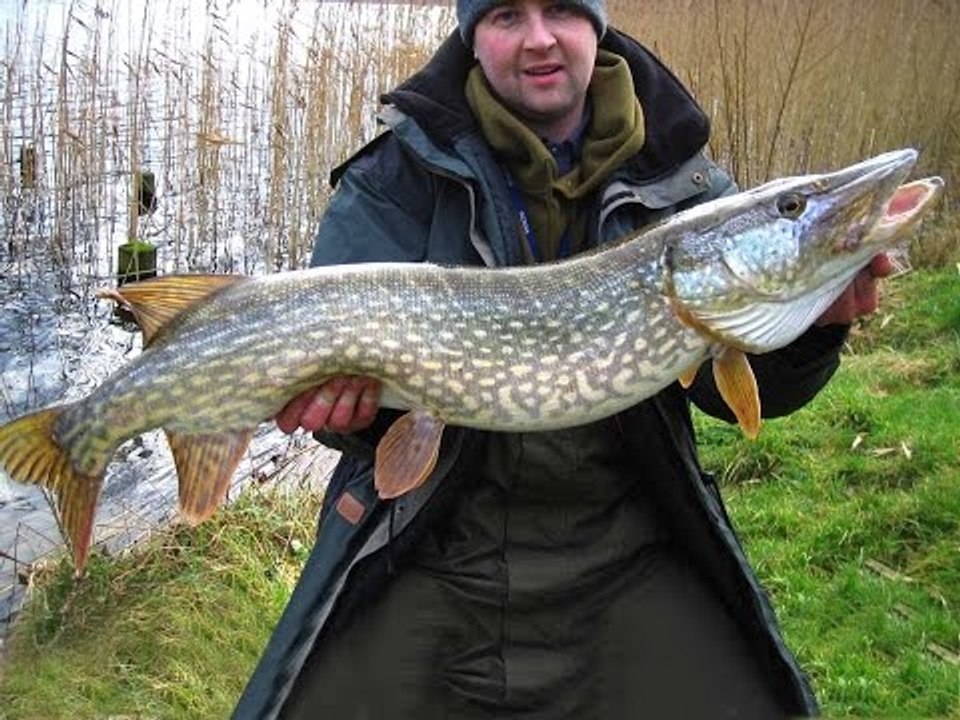 Matt Hayes: Lake Escapes S01E11 - Castle Leslie Pike (Fishing)