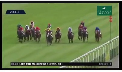 Deauville : un cheval meurt après une lourde chute en pleine course